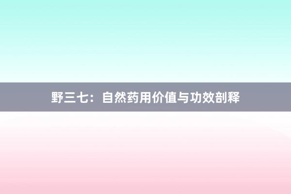 野三七：自然药用价值与功效剖释